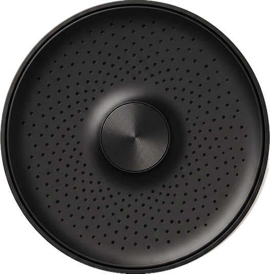 Matte Black Halo showerhead, face-on
